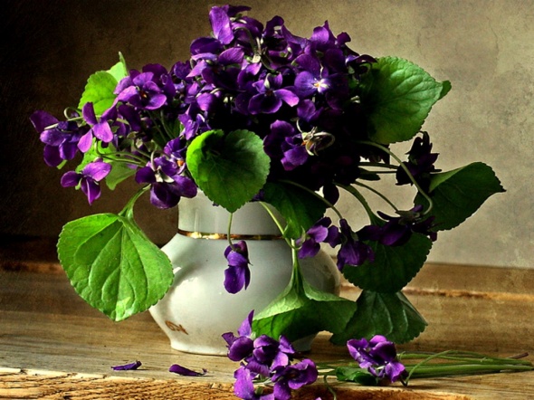 Delightful-Violets-flowers-still-life-table-vase-violets